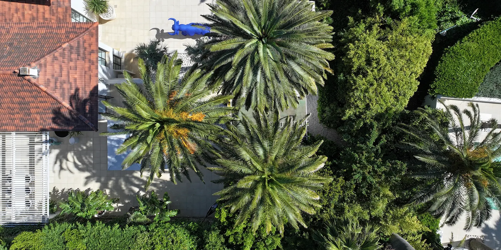 unas vacaciones en Mandelieu-la-Napoule